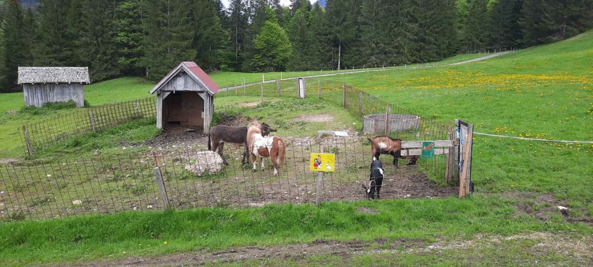 Villa Jausenstation Neuschwand Hittisau Exterior foto