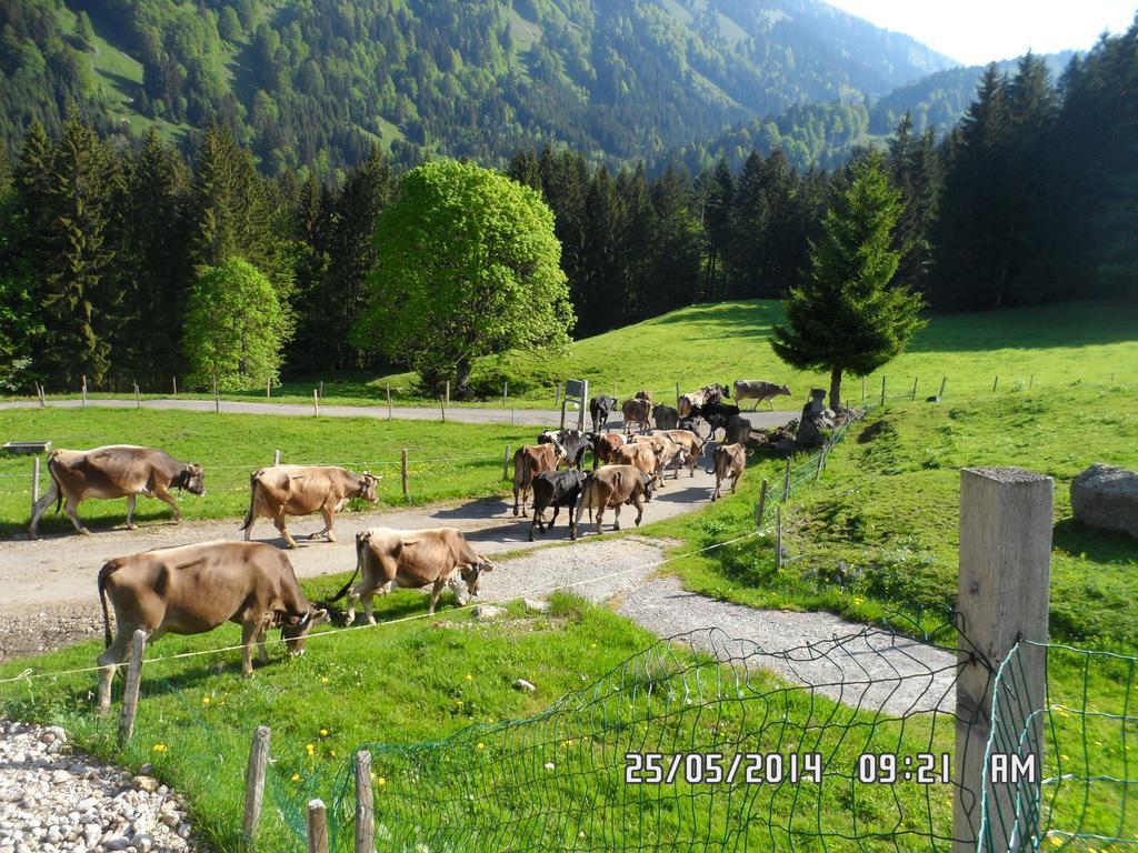 Villa Jausenstation Neuschwand Hittisau Exterior foto