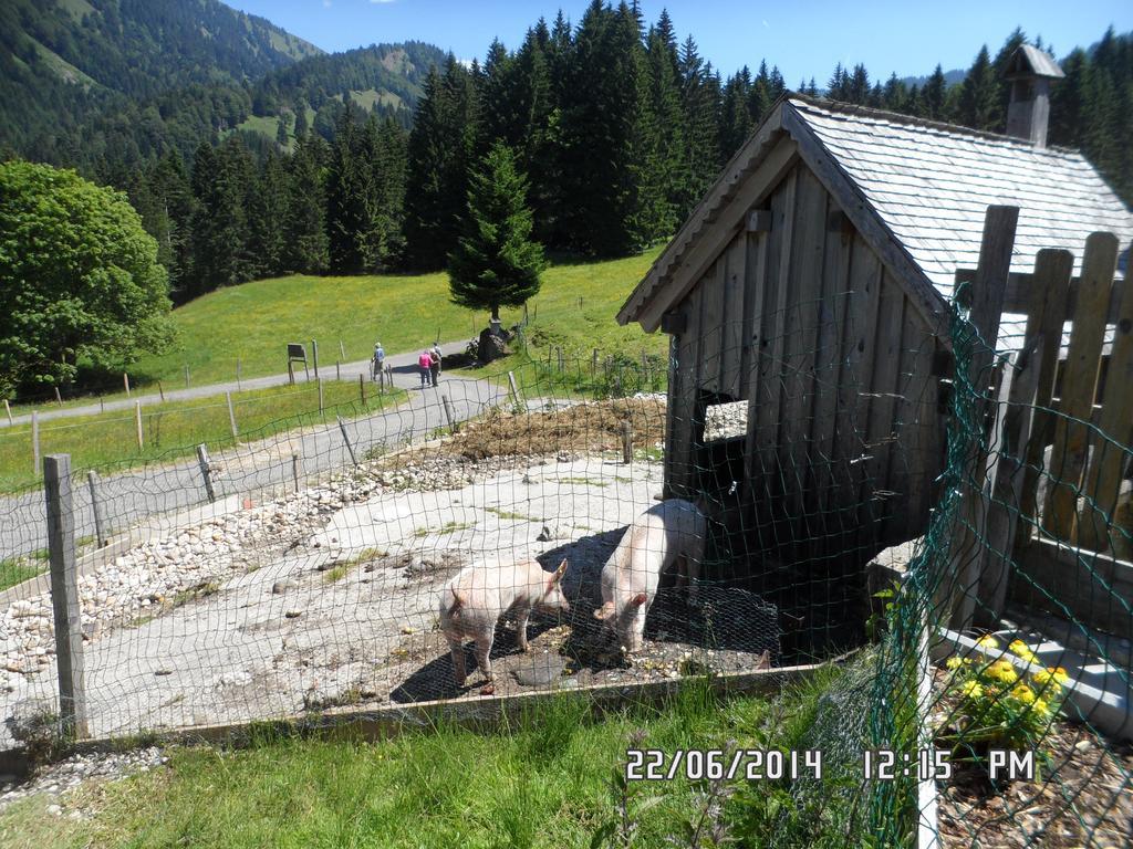 Villa Jausenstation Neuschwand Hittisau Exterior foto